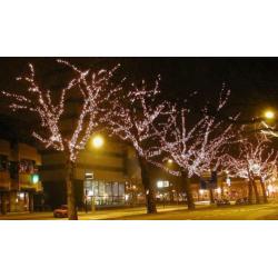 boomverlichting led IP67