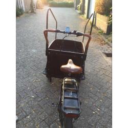 Troy bakfiets e-bike