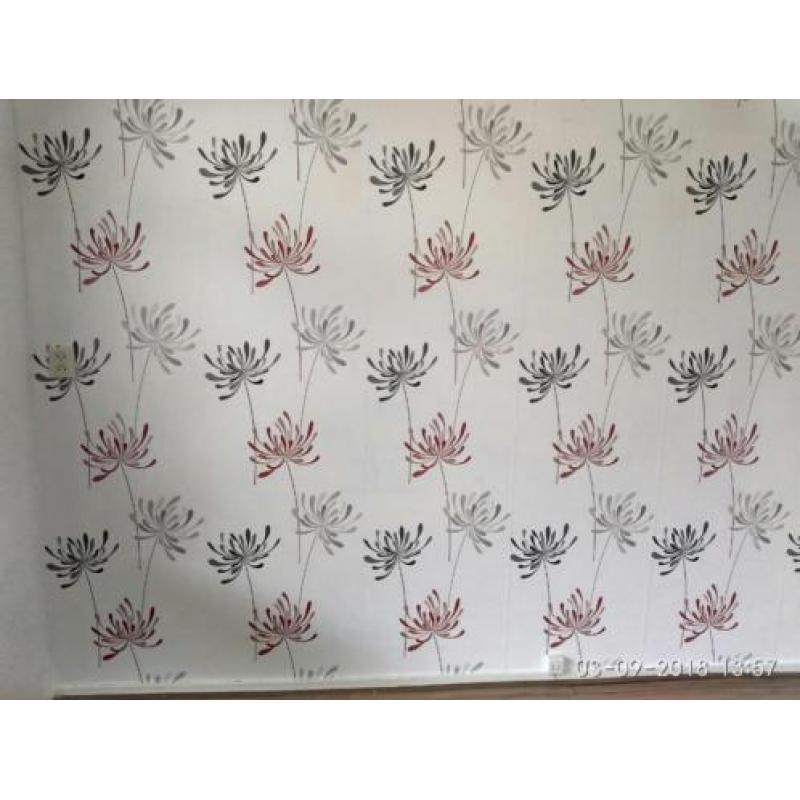 Paardenbloemen vliesbehang