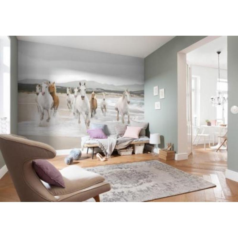 Witte Paarden Fotobehang Paarden behang Gratis verzending