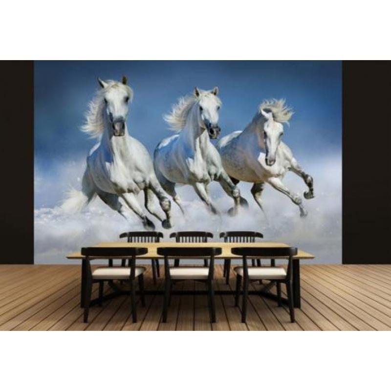 Witte Paarden Fotobehang Paarden behang Gratis verzending