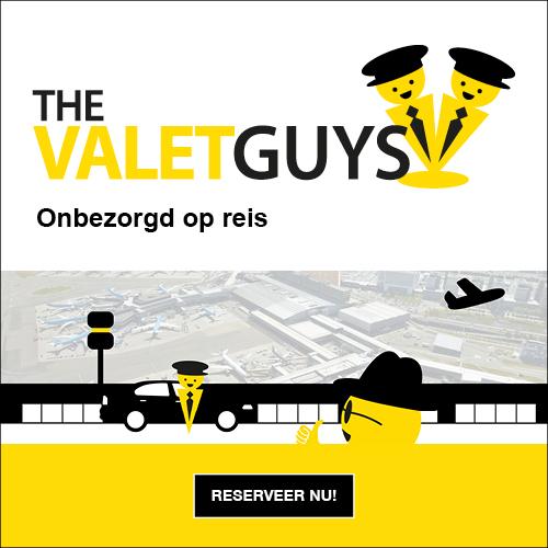 Thevaleguys