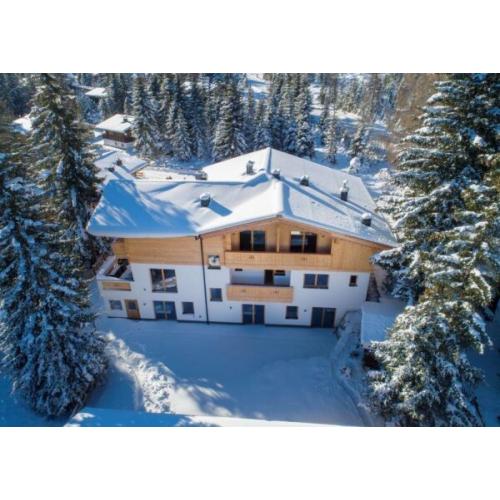 Chalet Zillertal Arena Big Family
