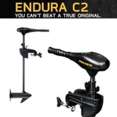 Endura C2 40 Lbs 36 inch 12V Minn Kota