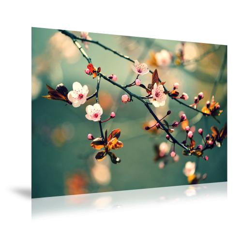 Fotoafdruk Mat 70x140