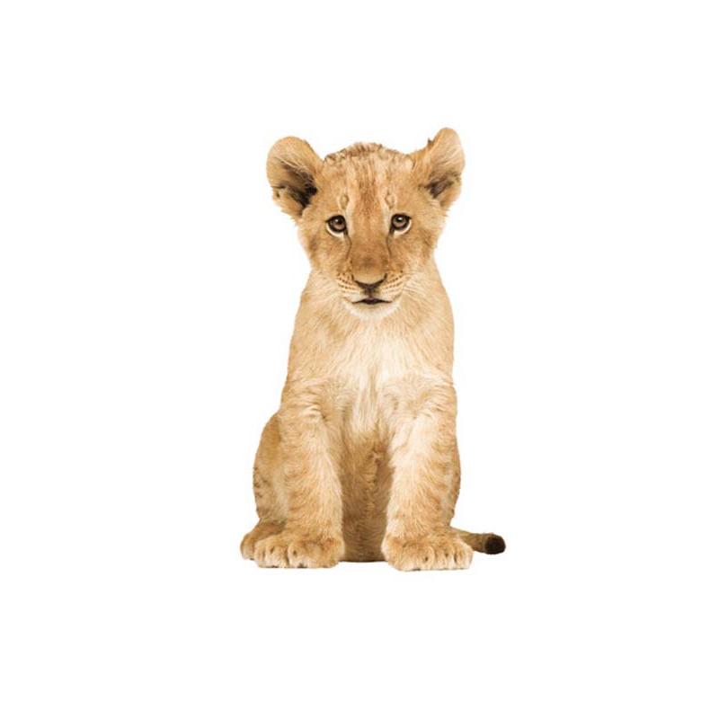 KEK Amsterdam Safari Friends Lion Cub