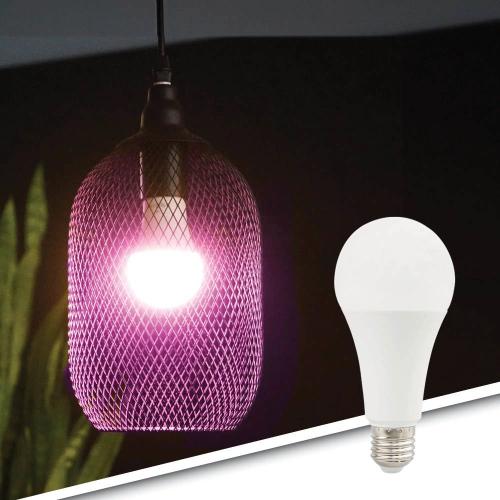 Tuya slimme led lamp 12 watt - E27 fitting - RGBWW Multicolor en Wit